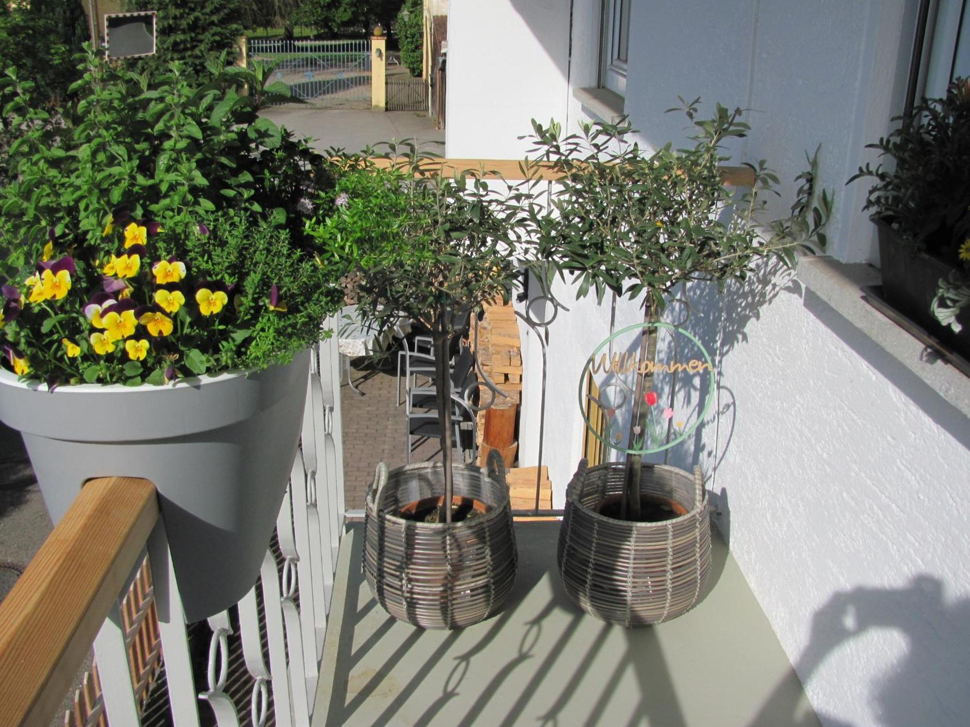 #1Gemuetliches Ruhiges Sonniges Balkonzimmer Mit Gemeinschaftsbad W-Lan Airport Nah Late Night Check In Haus Nr 9,5 Trunkelsberg Exterior foto